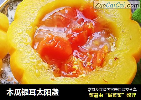 木瓜银耳太阳盏