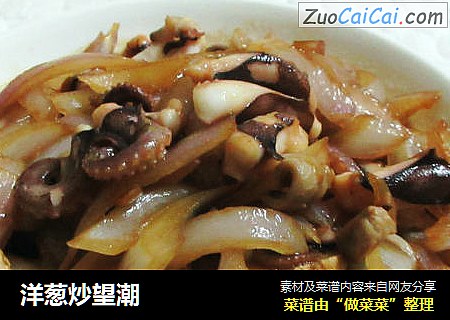 洋葱炒望潮