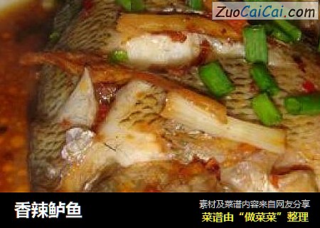 香辣鲈鱼