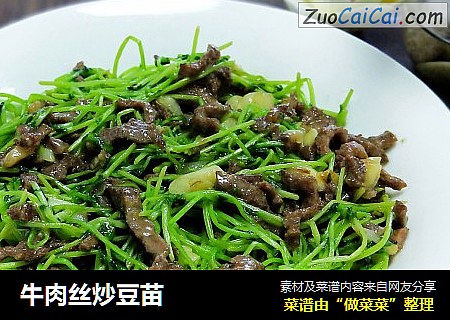牛肉丝炒豆苗