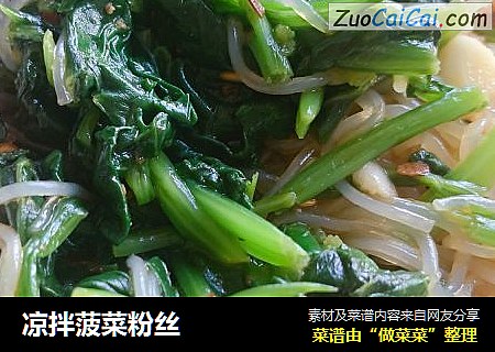 凉拌菠菜粉丝