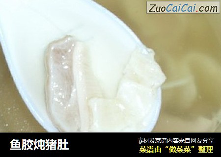 鱼胶炖猪肚