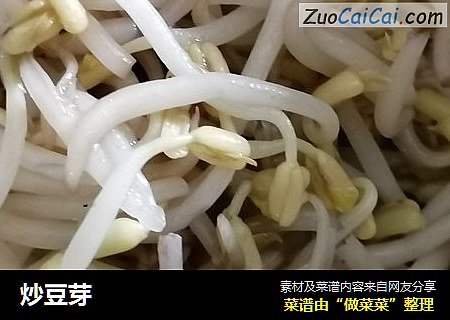 炒豆芽