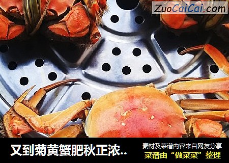 又到菊黄蟹肥秋正浓，教大家做清蒸螃蟹