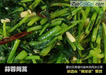 蒜蓉茼蒿