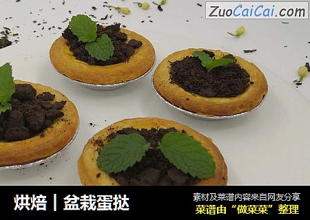 烘焙︱盆栽蛋挞