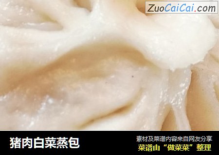 猪肉白菜蒸包