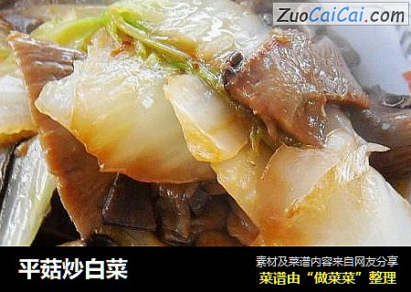 平菇炒白菜
