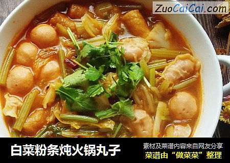 白菜粉条炖火锅丸子