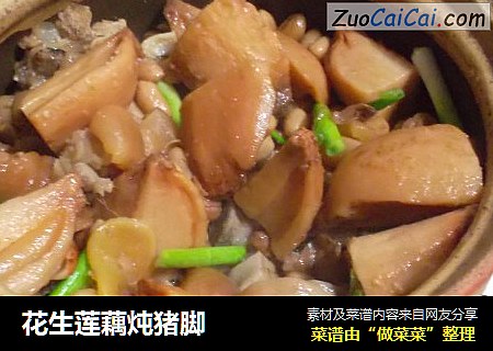 花生莲藕炖猪脚