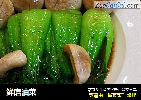 鲜磨油菜