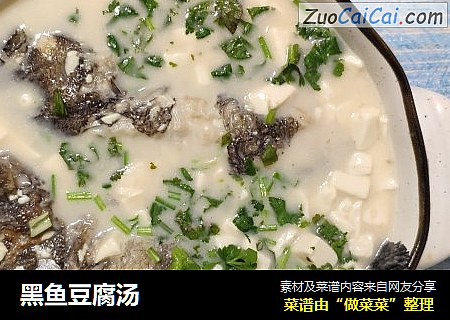 黑鱼豆腐汤