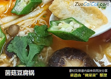 菌菇豆腐锅