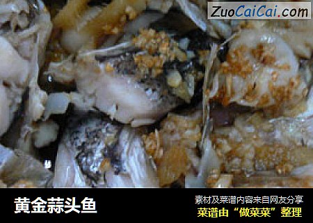 黄金蒜头鱼