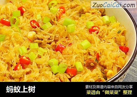 蚂蚁上树