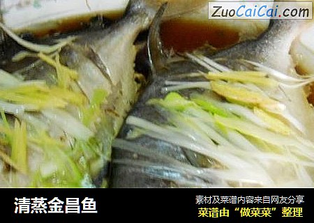 清蒸金昌鱼