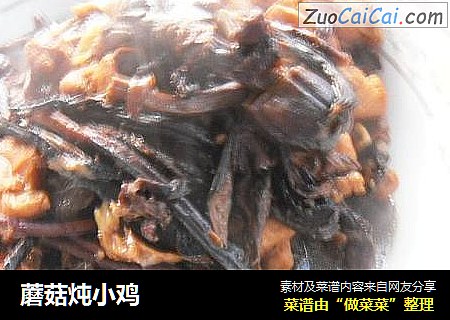 蘑菇炖小鸡