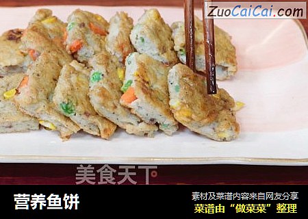 营养鱼饼