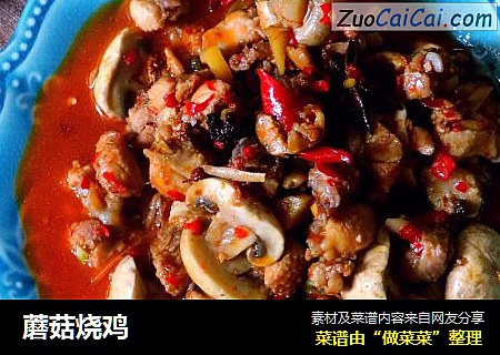 蘑菇烧鸡
