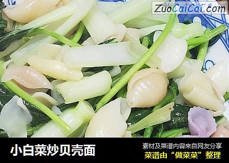 小白菜炒贝壳面