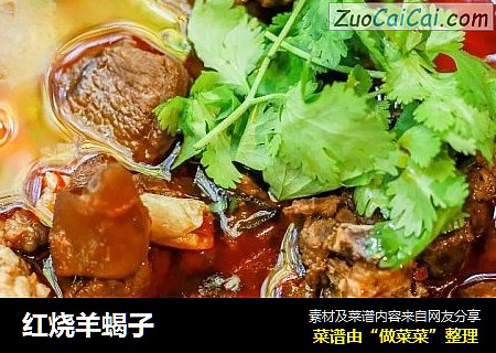 红烧羊蝎子