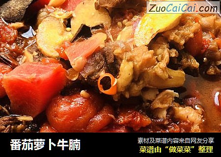 番茄萝卜牛腩