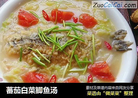 蕃茄白菜鲫鱼汤