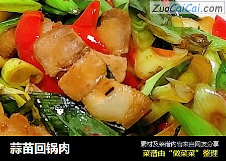 蒜苗回锅肉