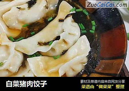 白菜猪肉饺子