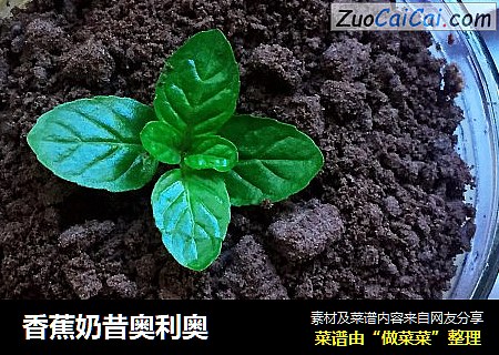 香蕉奶昔奥利奥