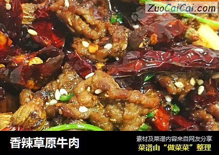 香辣草原牛肉