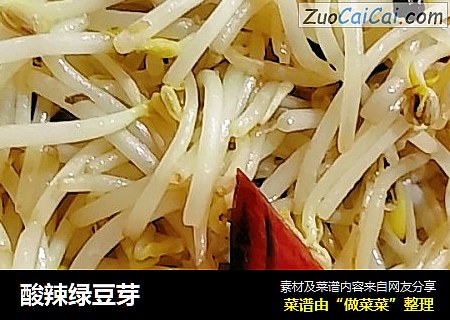 酸辣绿豆芽