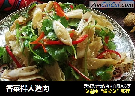 香菜拌人造肉