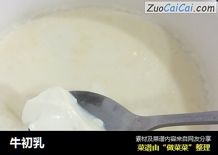 牛初乳