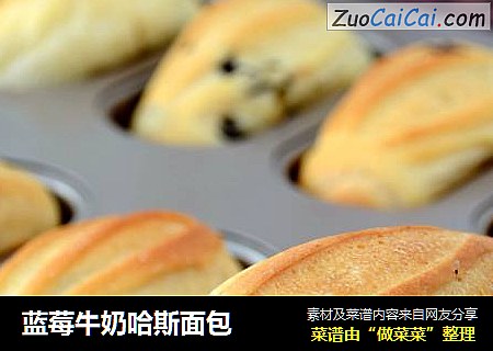 蓝莓牛奶哈斯面包