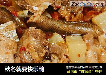 秋冬就要快乐鸭