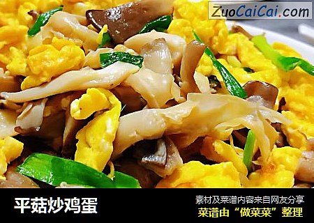 平菇炒鸡蛋