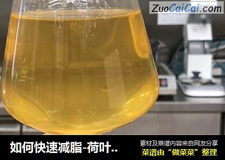 如何快速减脂-荷叶柠檬乌龙茶