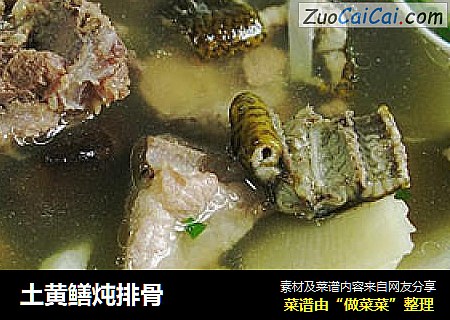 土黄鳝炖排骨