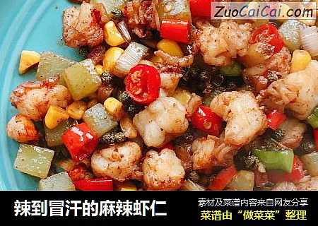 辣到冒汗的麻辣虾仁