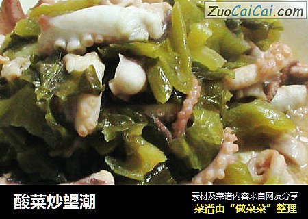酸菜炒望潮