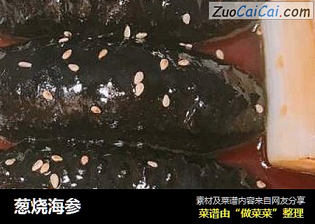 葱烧海参