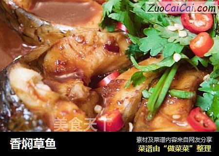 香焖草鱼