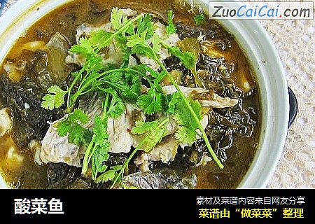 酸菜鱼