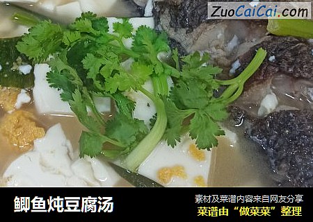 鲫鱼炖豆腐汤