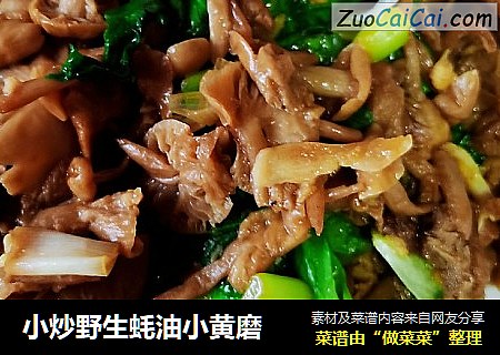 小炒野生蚝油小黄磨