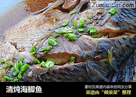 清炖海鲫鱼