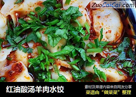 红油酸汤羊肉水饺