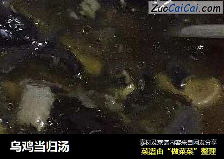 乌鸡当归汤