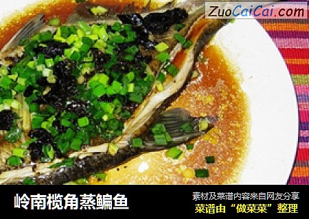 岭南榄角蒸鳊鱼